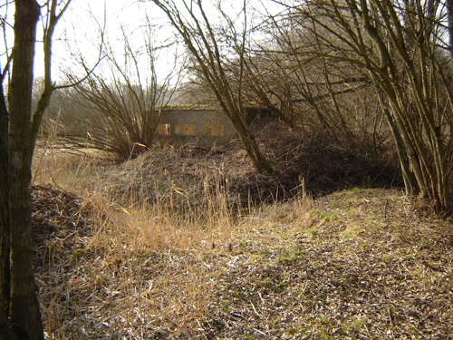 DSC05135.JPG