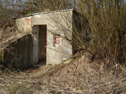 DSC05136.JPG