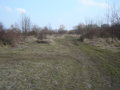 DSC05152.JPG